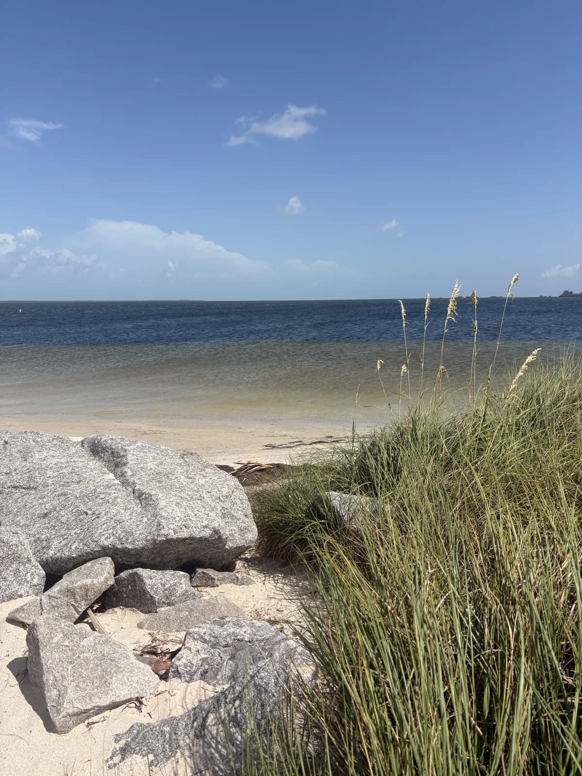 Florida coastal habitat